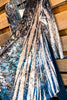 AHB EXCLUSIVE: Divine Velvet Duster - Taupe/Navy - SALE