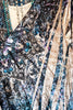 AHB EXCLUSIVE: Divine Velvet Duster - Taupe/Navy - SALE