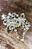 Black Rose Pearl Necklace - White