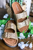 Shine Bright Buckle Sandals - Champagne Gold - SALE size 5.5